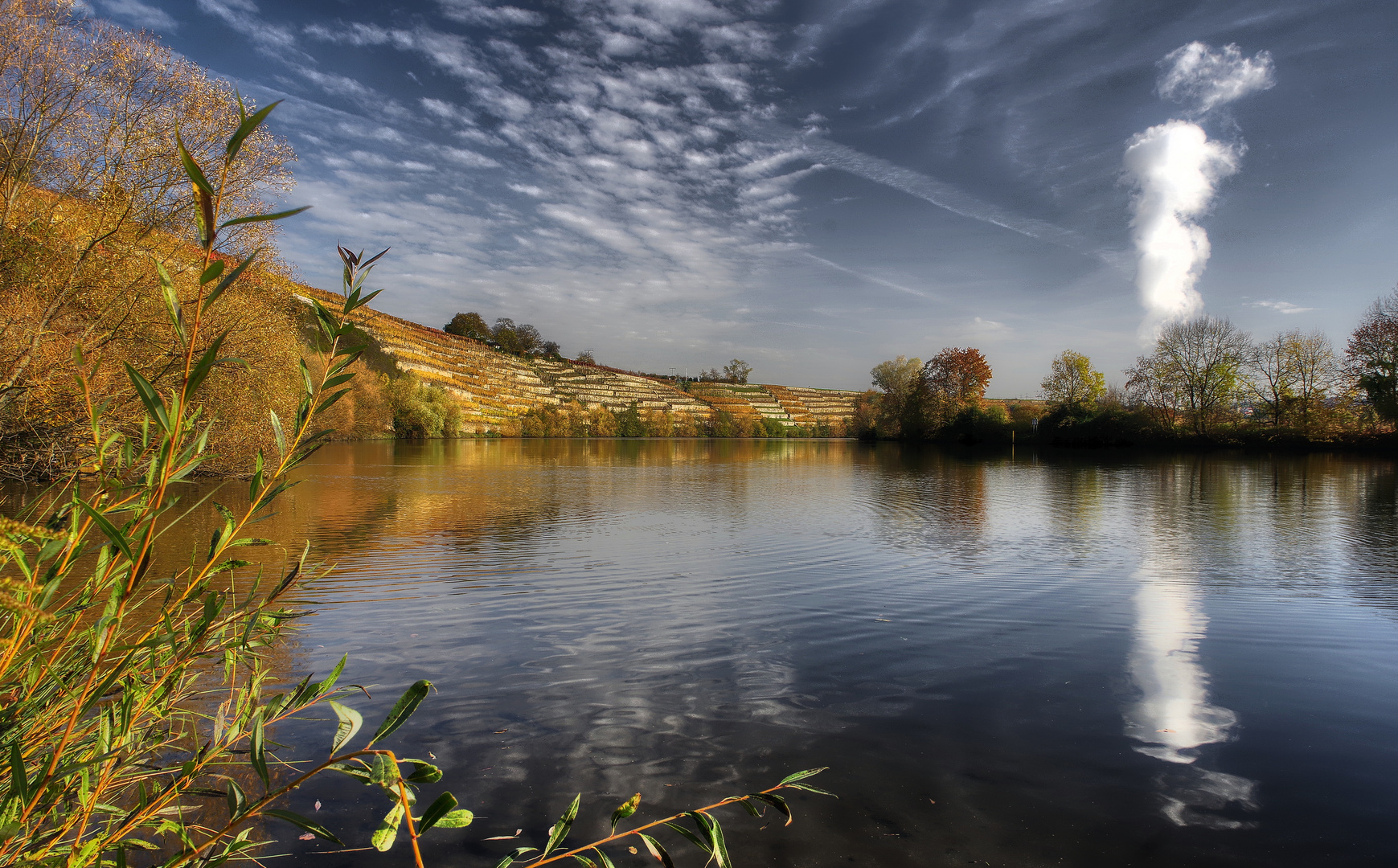 Herbstlandschaft am Neckar