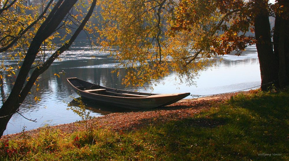 Herbstlandschaft am Rhein mit Weidling