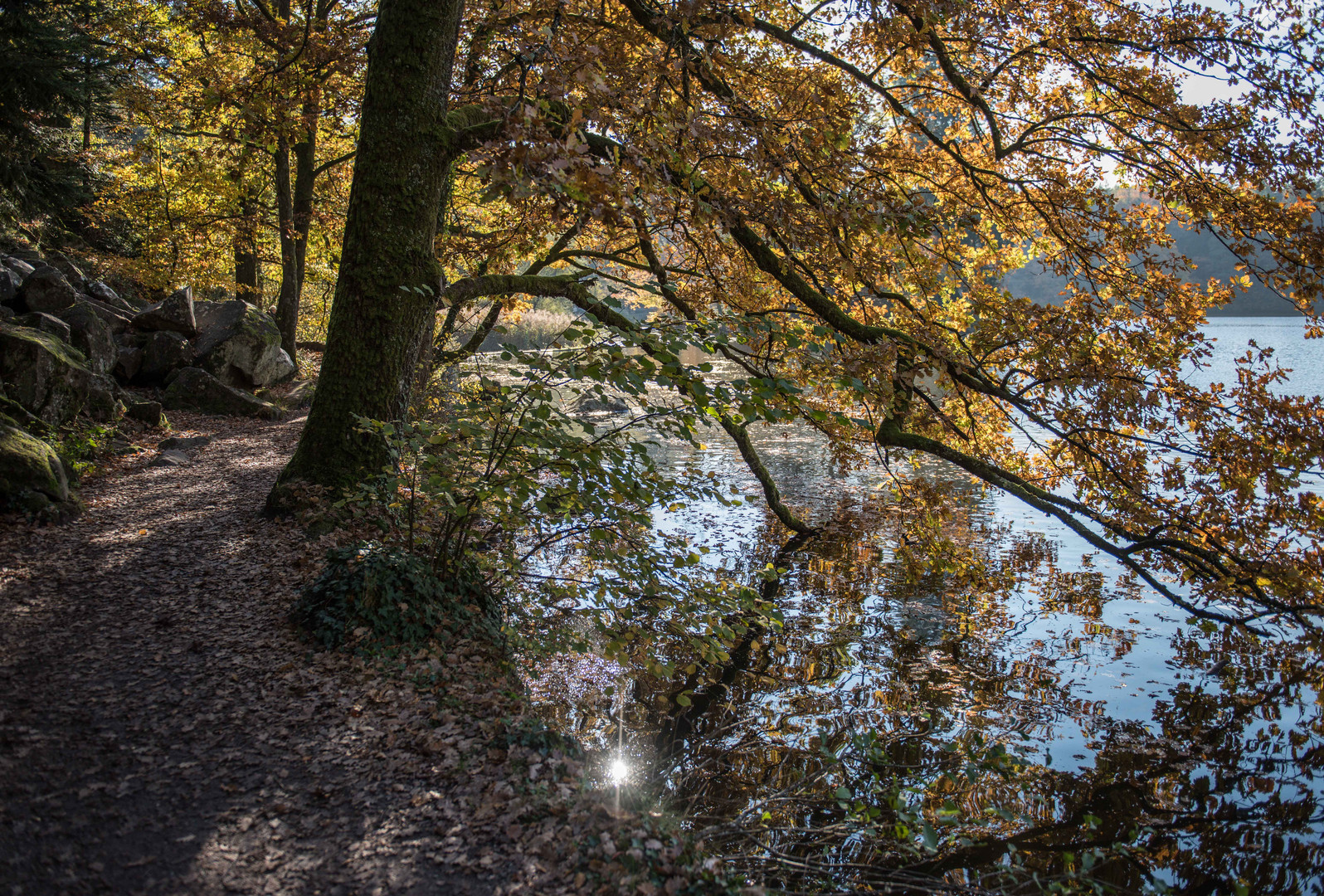 Herbstlandschaft am See