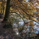 Herbstlandschaft am See