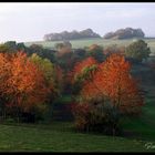 Herbstlandschaft am Taunusrand