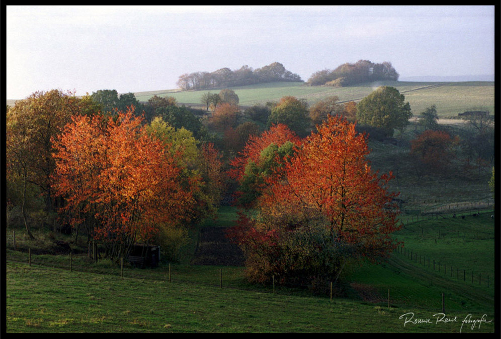 Herbstlandschaft am Taunusrand