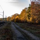 Herbstlandschaft an der Bahnstrecke