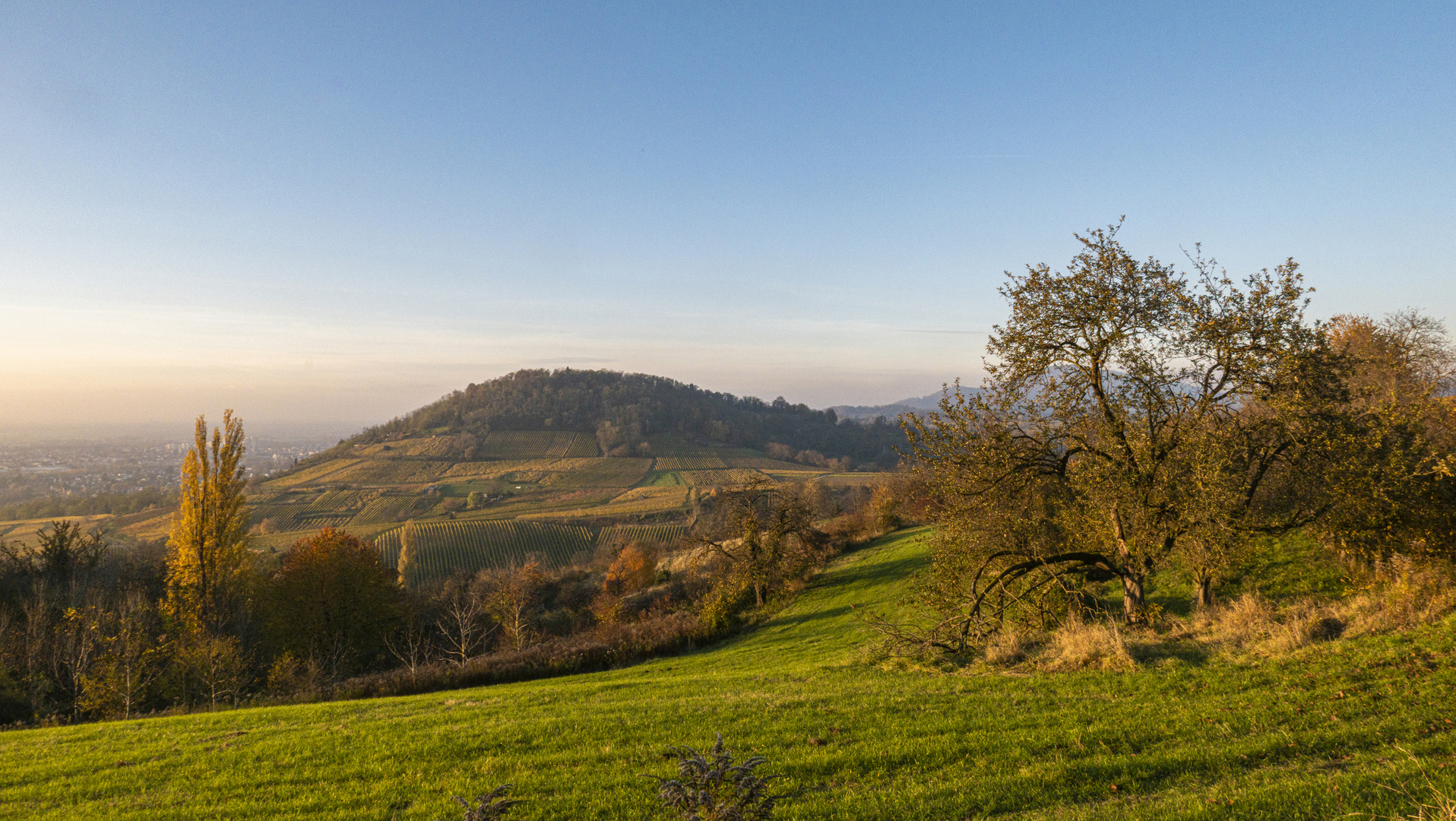 Herbstlandschaft an der Bergstraße.