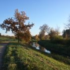 Herbstlandschaft an der "Glatt"