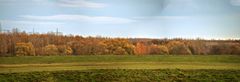 Herbstlandschaft an der Mulde