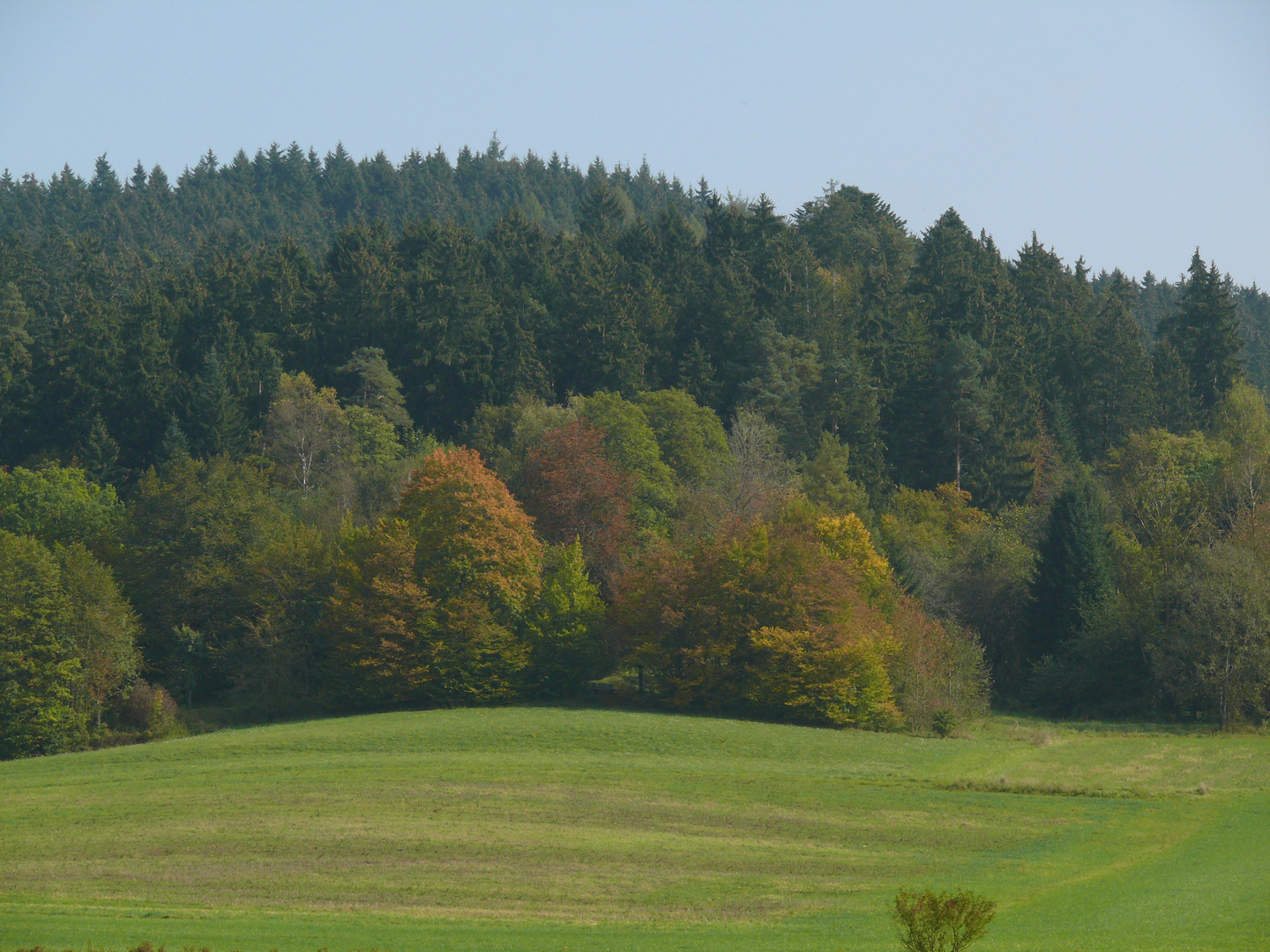 Herbstlandschaft