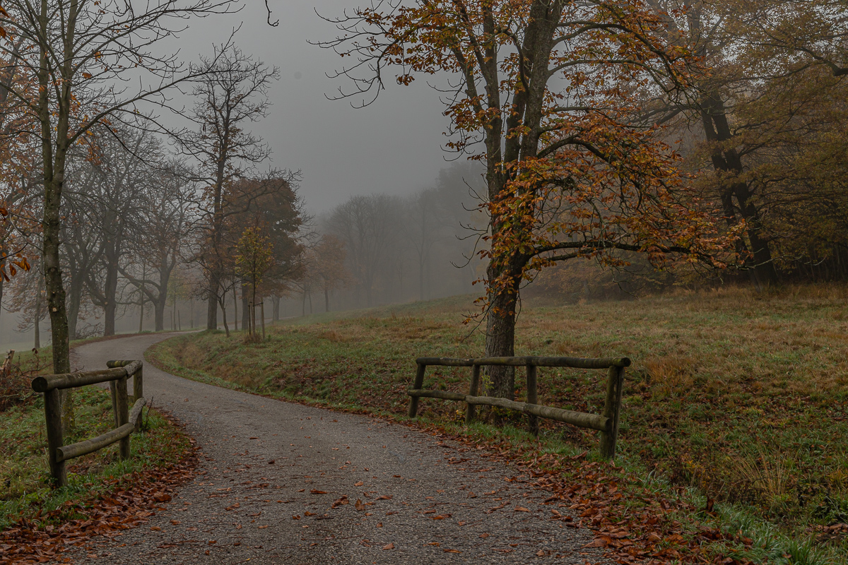 HERBSTLANDSCHAFT 