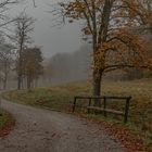 HERBSTLANDSCHAFT 