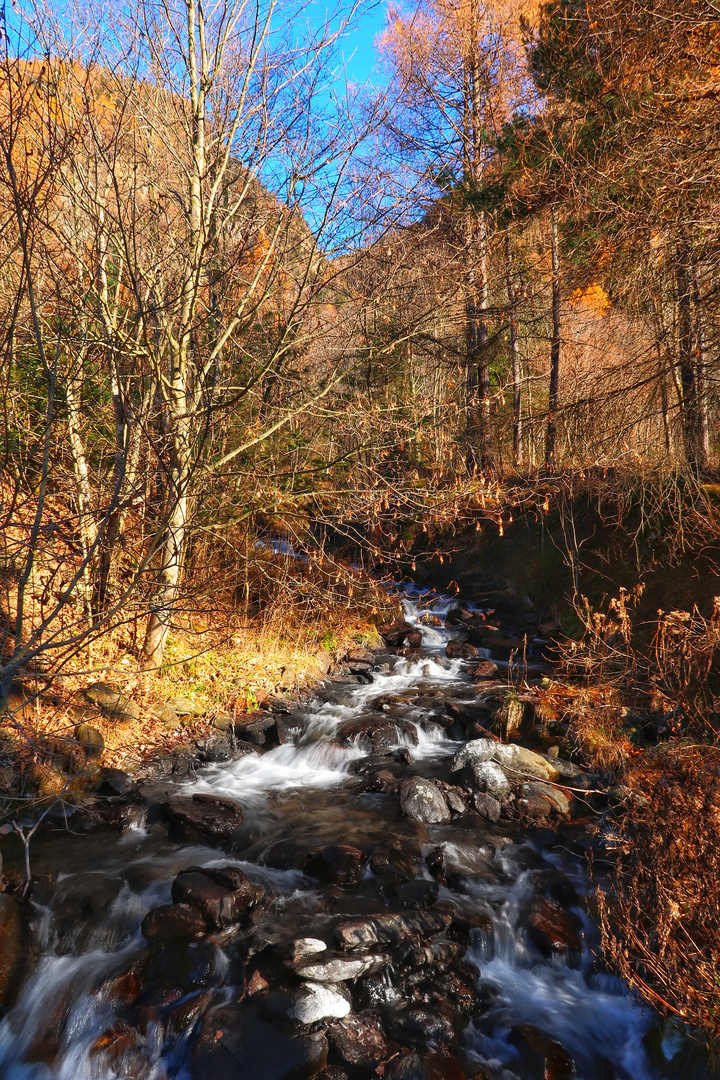 Herbstlandschaft