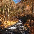 Herbstlandschaft