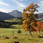 Herbstlandschaft bei Abtenau/Österreich