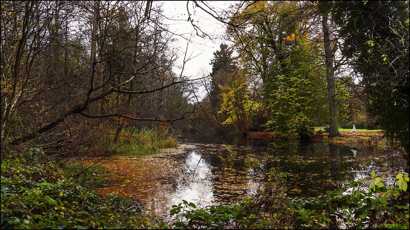 Herbstlandschaft bei Bötersheim (Niedersachsen)