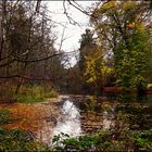 Herbstlandschaft bei Bötersheim (Niedersachsen)