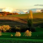 herbstlandschaft bei breitenbach 2