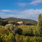 Herbstlandschaft bei Edenkoben