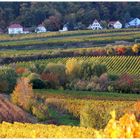 Herbstlandschaft bei Gimmeldingen