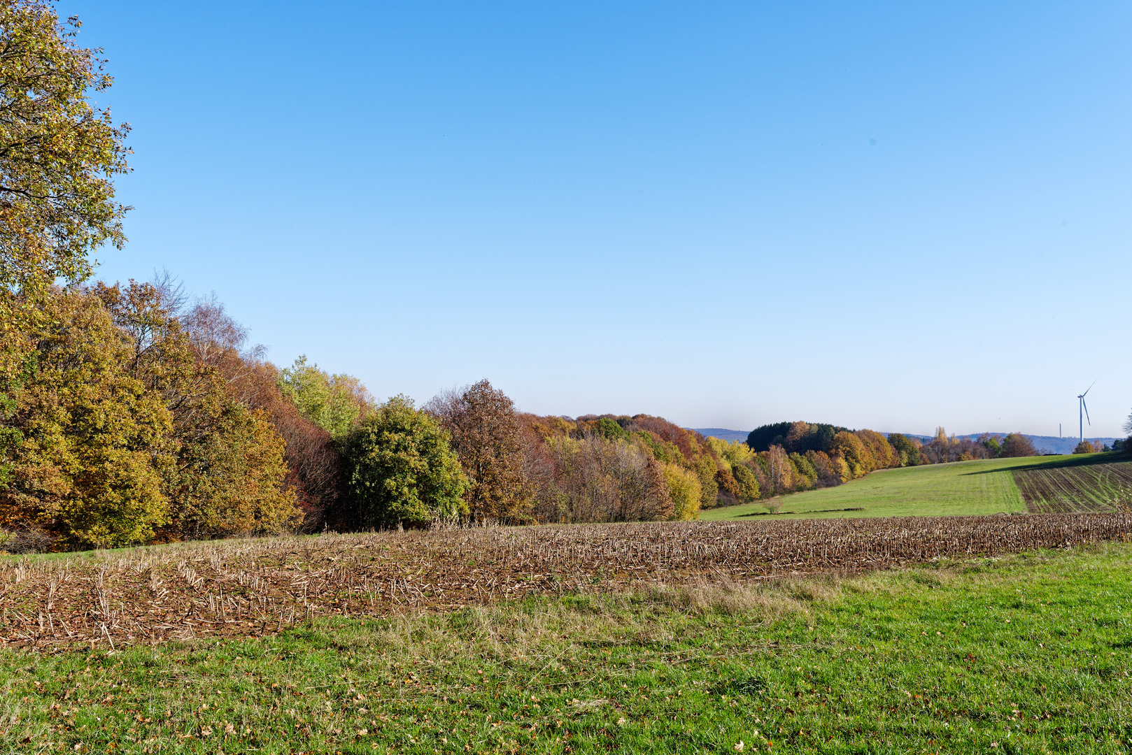 Herbstlandschaft bei Stennweiler (Saarland)