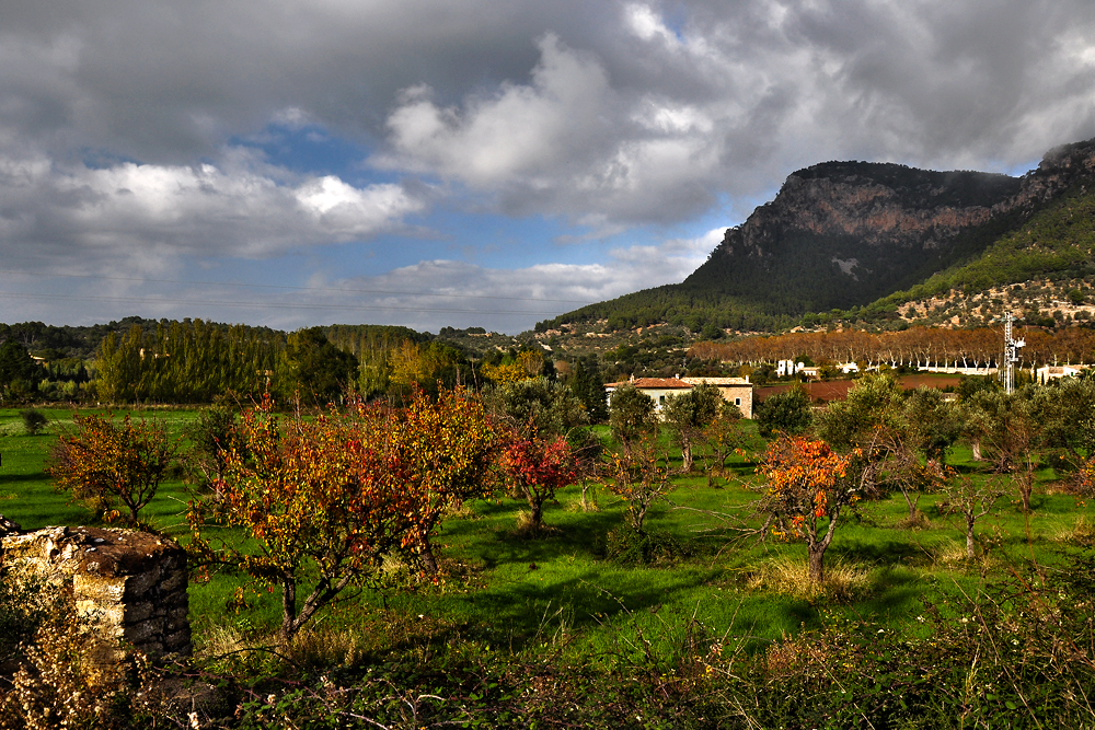 Herbstlandschaft bei Valdemossa