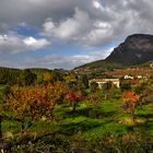 Herbstlandschaft bei Valdemossa