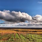 Herbstlandschaft bei Weyher