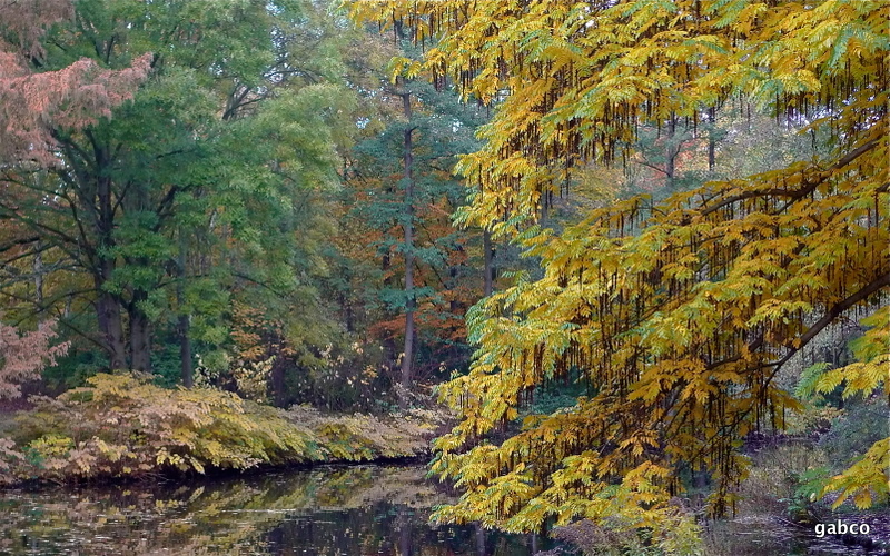 Herbstlandschaft