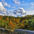 Herbstlandschaft