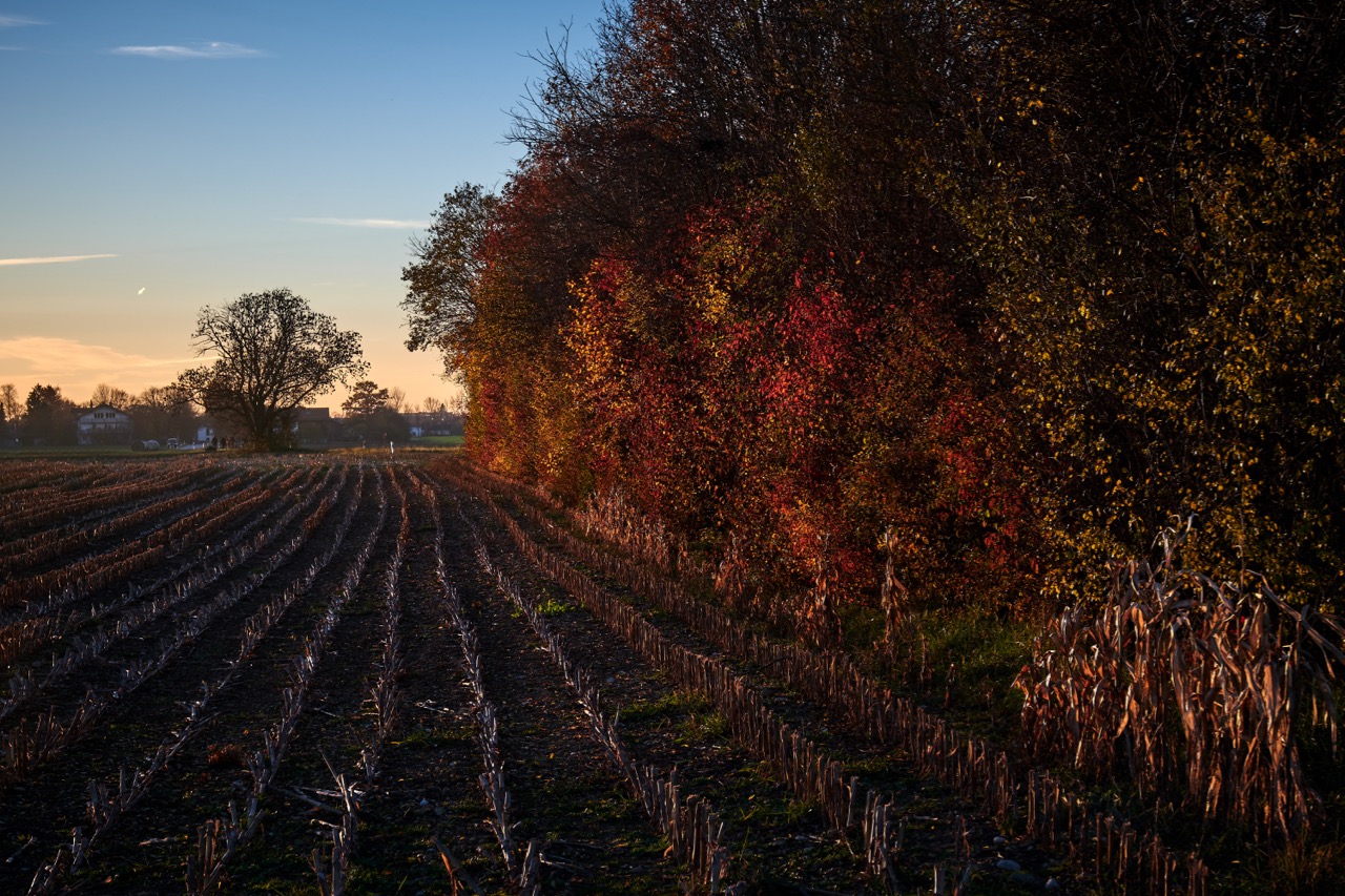 Herbstlandschaft