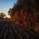 Herbstlandschaft