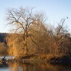 herbstlandschaft