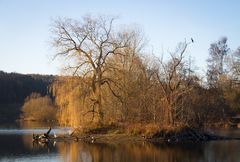 herbstlandschaft