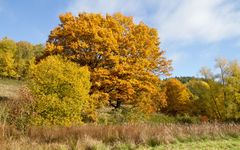 herbstlandschaft