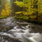 Herbst|Landschaft