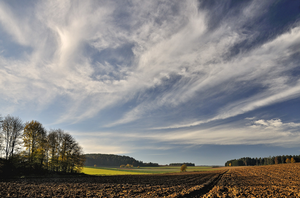 Herbstlandschaft