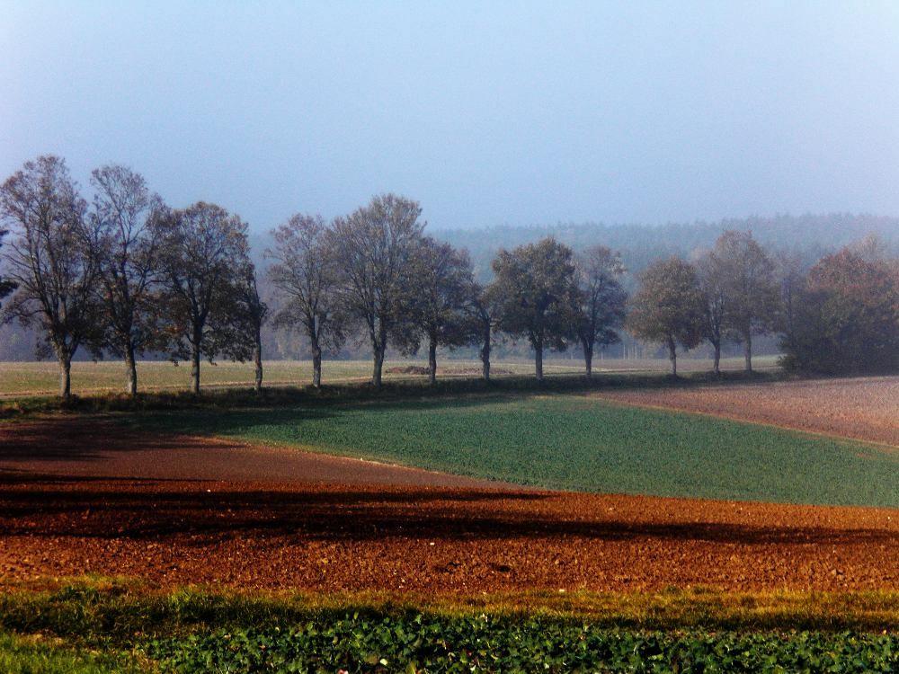 Herbstlandschaft