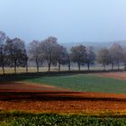 Herbstlandschaft