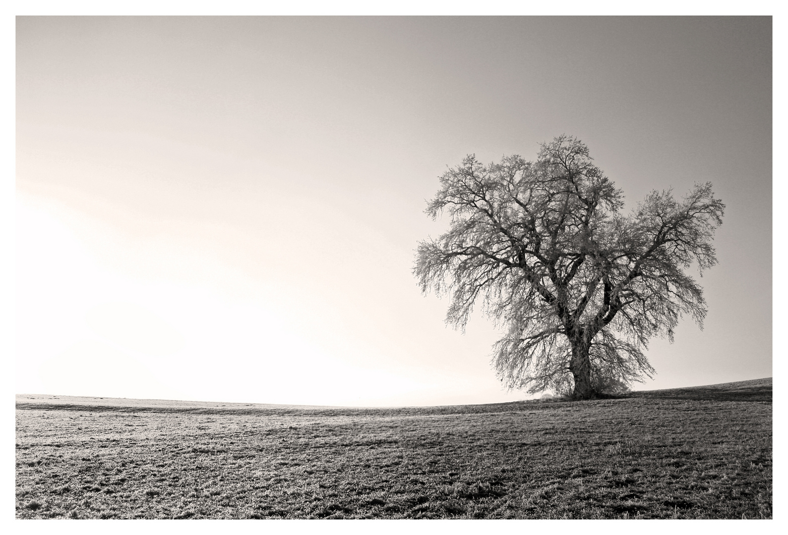 Herbstlandschaft