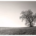 Herbstlandschaft