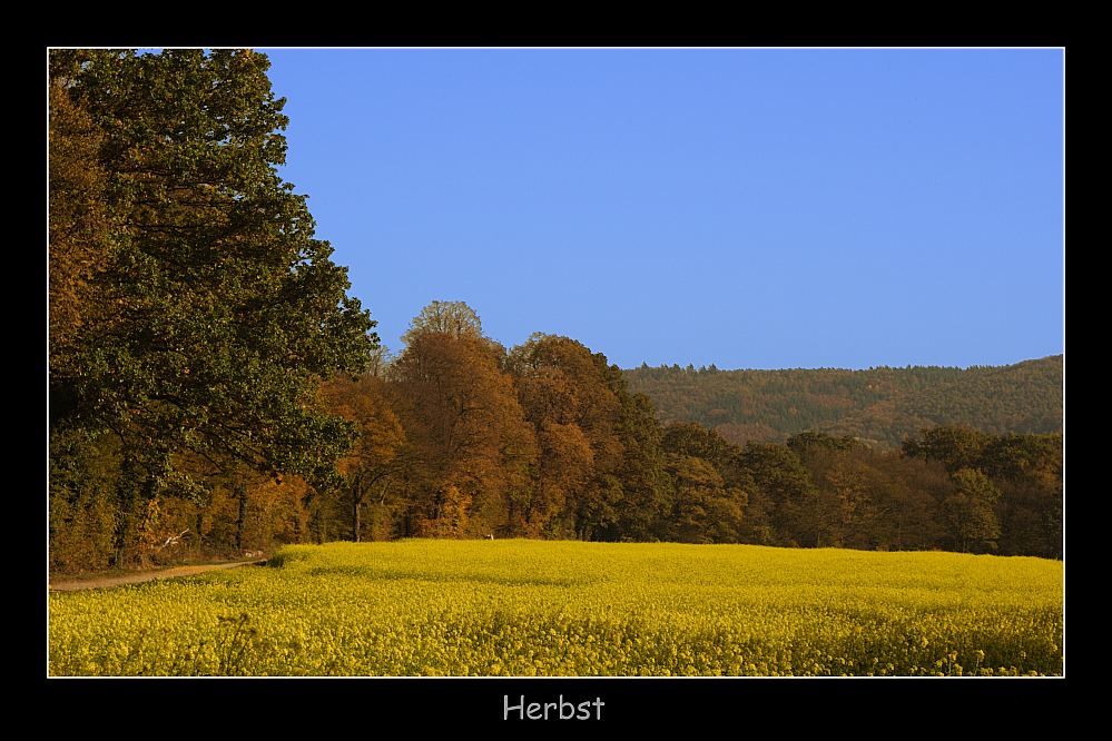 Herbstlandschaft