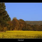 Herbstlandschaft