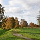 Herbstlandschaft