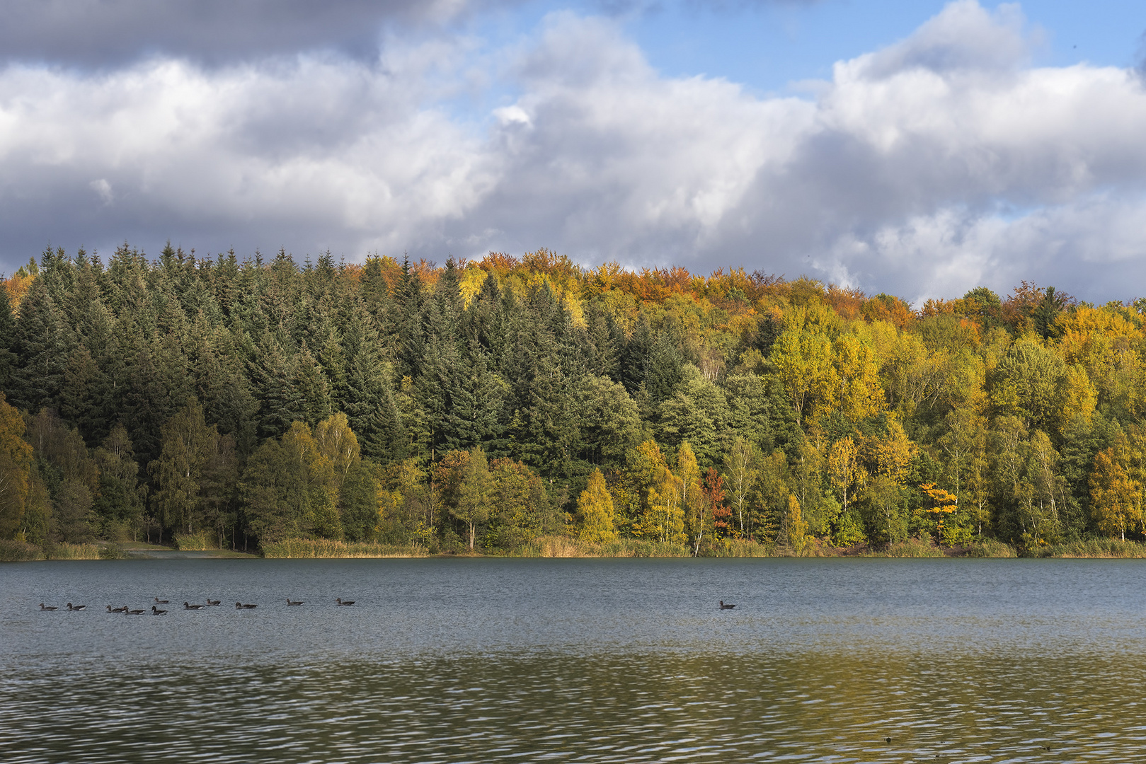 Herbstlandschaft