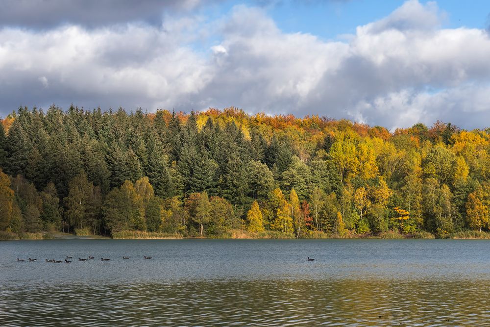 Herbstlandschaft