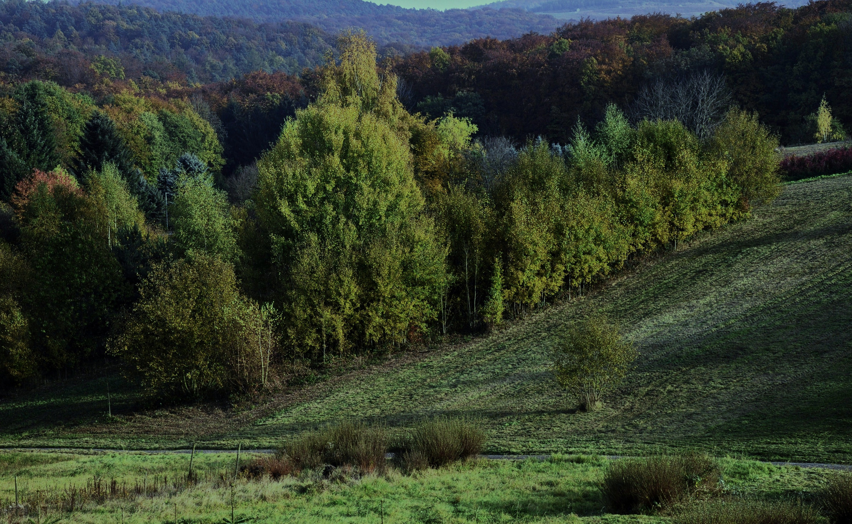 Herbstlandschaft....