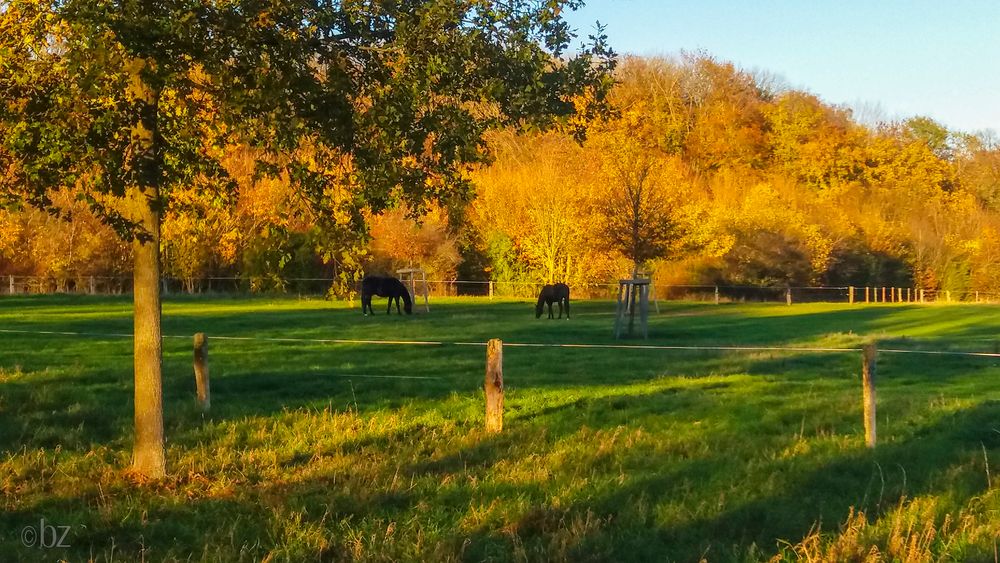 Herbstlandschaft