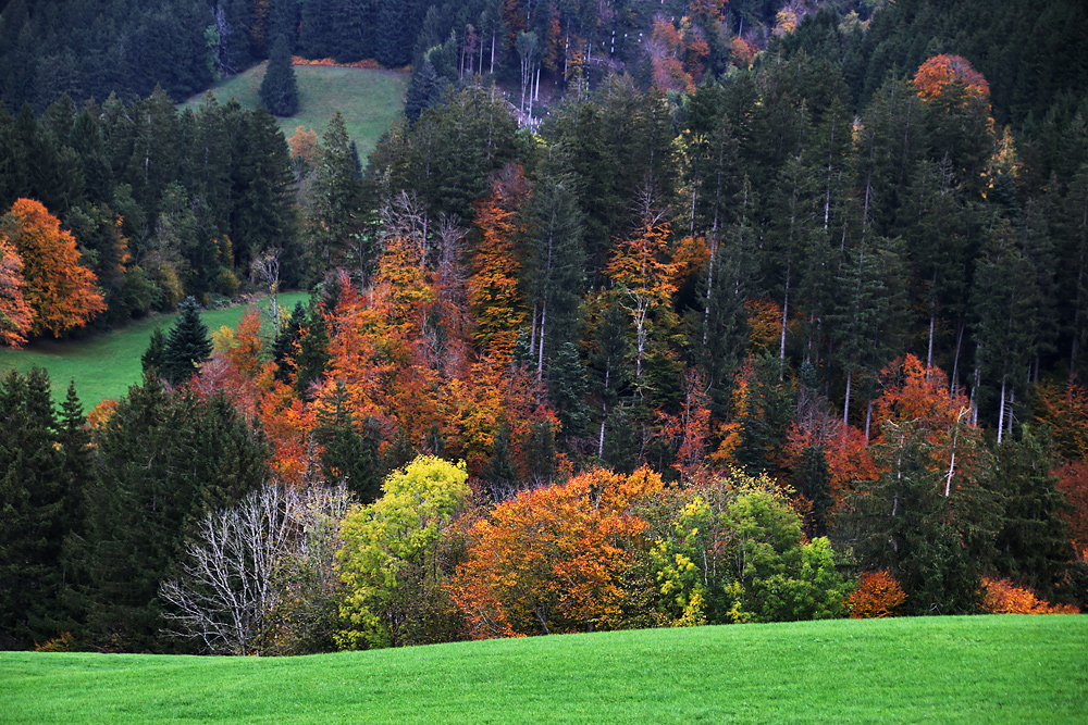 Herbstlandschaft