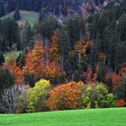 Herbstlandschaft