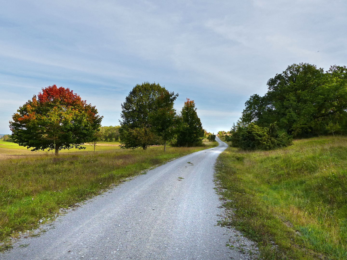 Herbstlandschaft