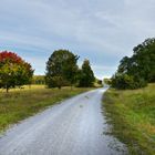 Herbstlandschaft