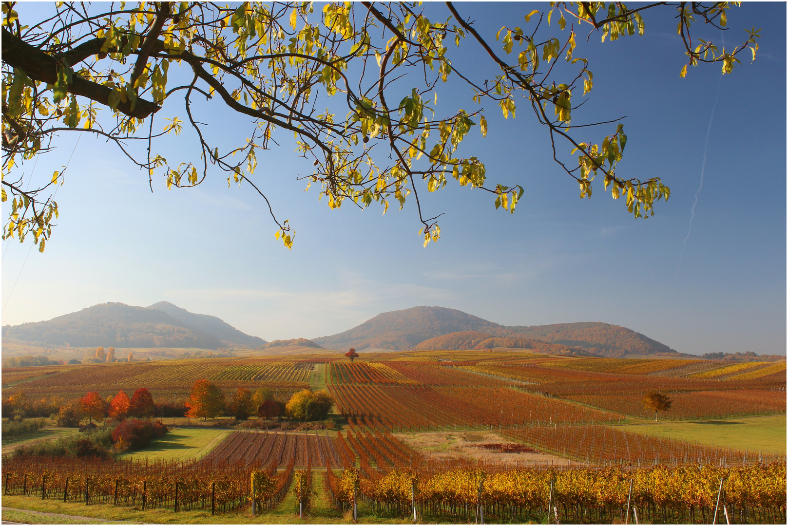 Herbstlandschaft